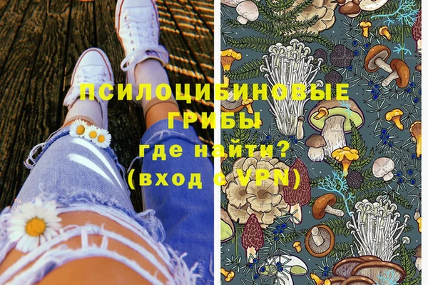 молекула духа Алексин