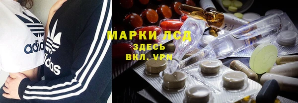 гашик Алексеевка