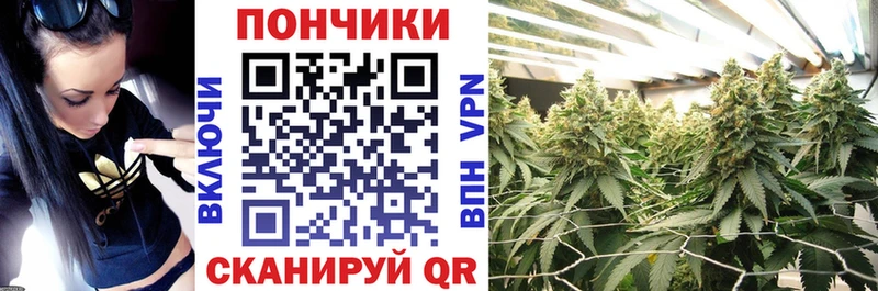 Шишки марихуана планчик  наркота  Йошкар-Ола 
